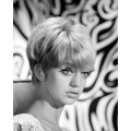 Goldie Hawn Photo